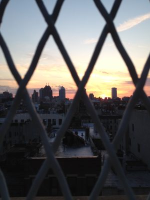 View from the rooftop screening NYC